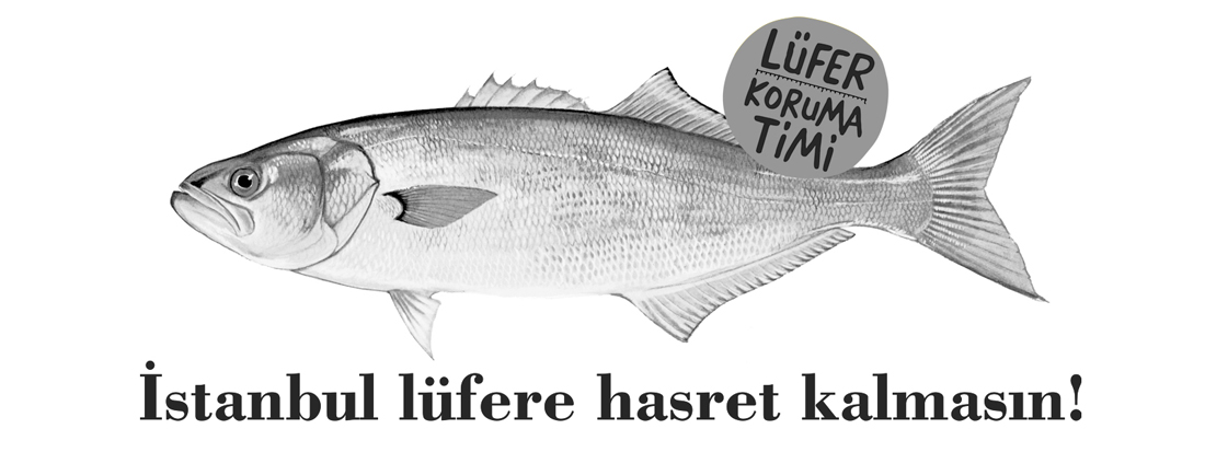 LÜFER KORUMA<br />KAMPANYASINA DESTEK