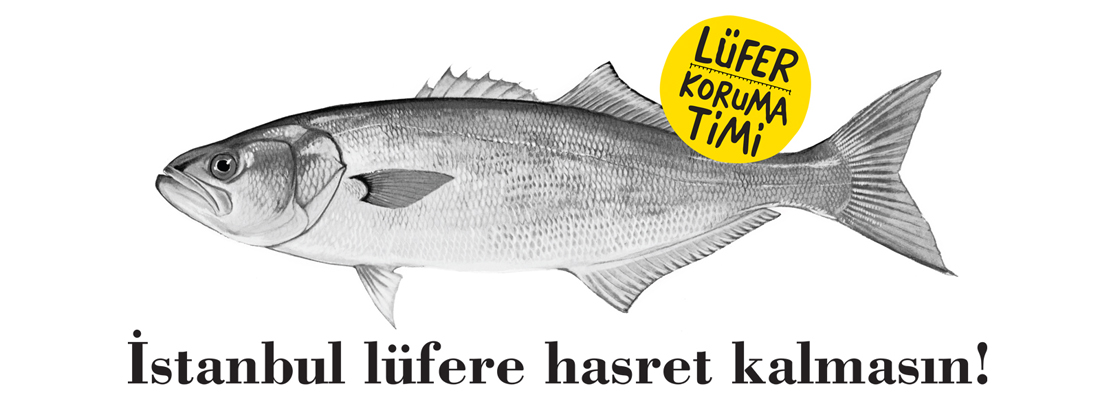 LÜFER KORUMA<br />KAMPANYASINA DESTEK